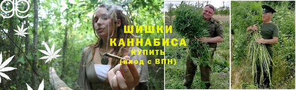 соль курить ск Алзамай