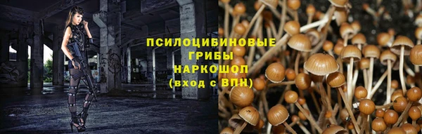 соль курить ск Алзамай