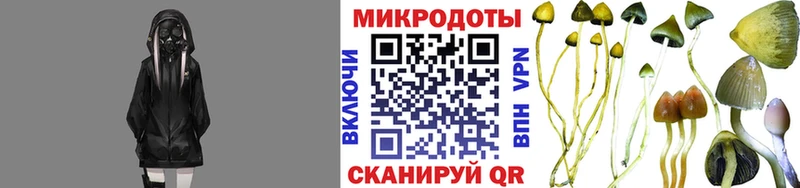 Галлюциногенные грибы ЛСД  продажа наркотиков  Балахна 
